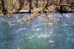 Fontaine de Vaucluse